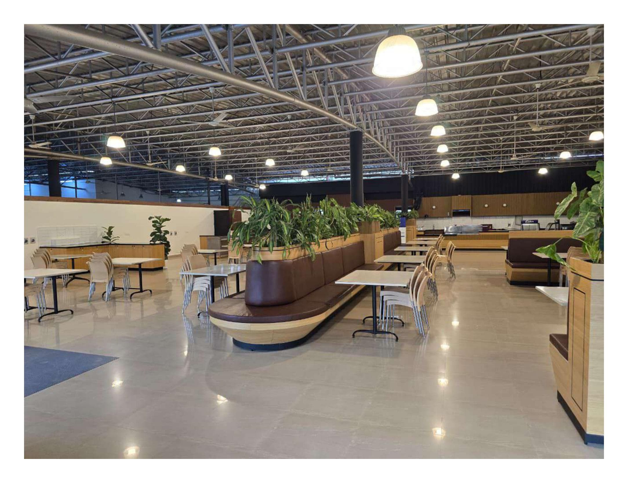 Tally Solutions — photo 5
