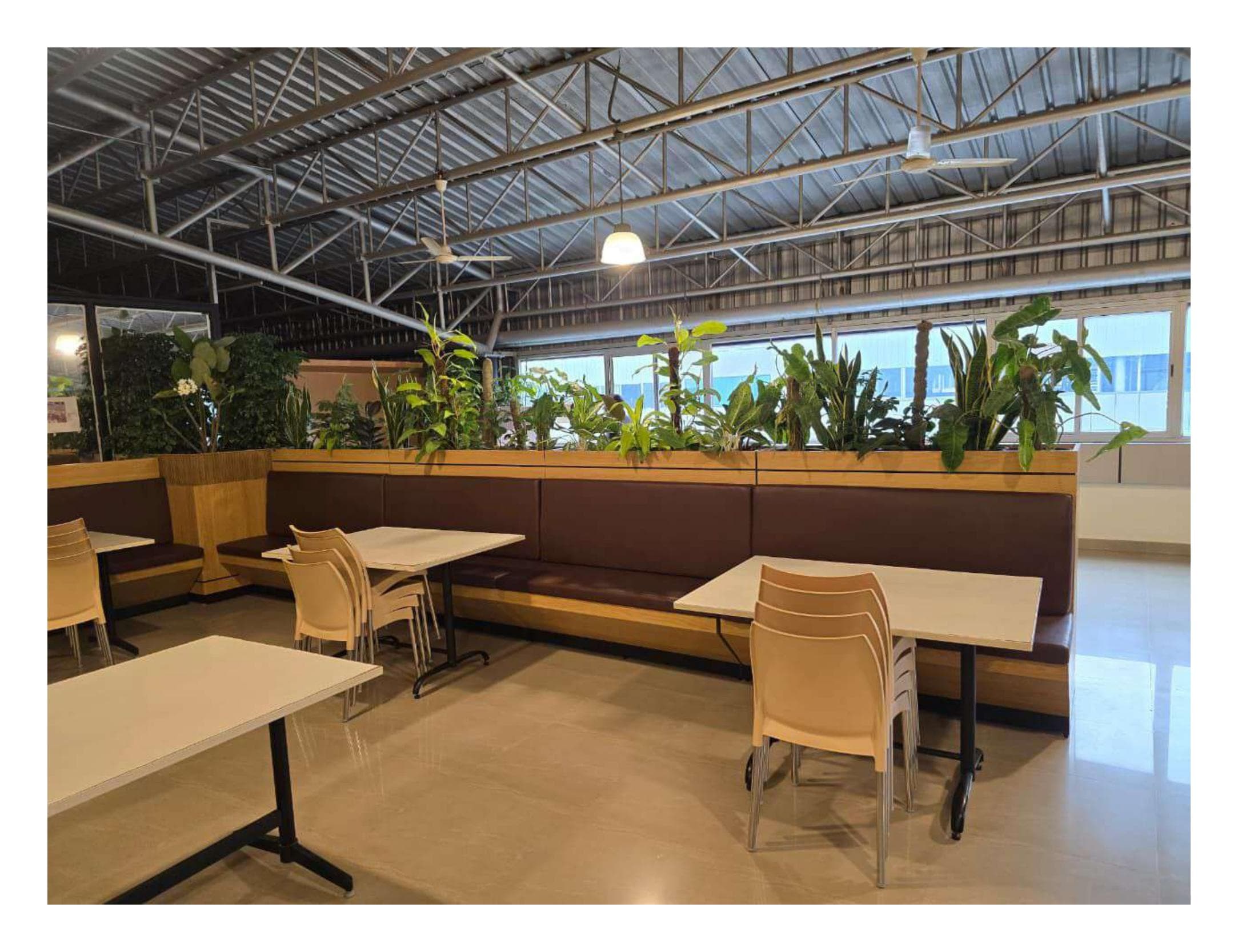 Tally Solutions — photo 7
