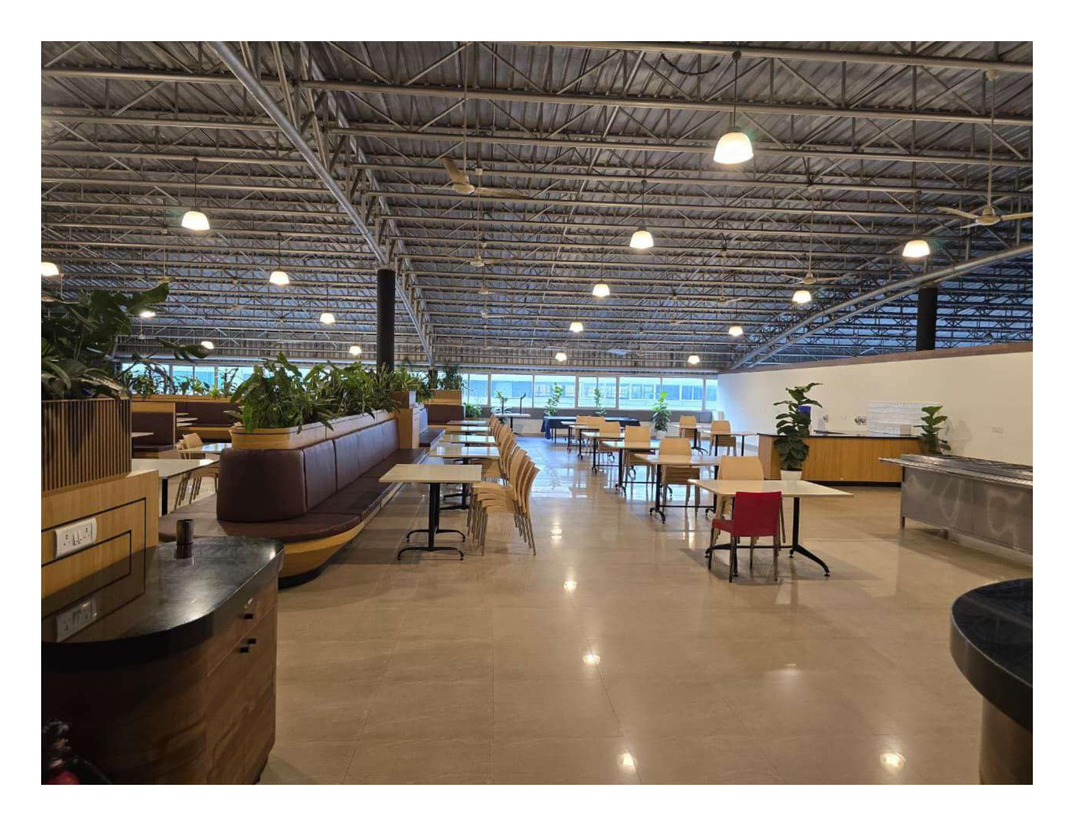 Tally Solutions — photo 8