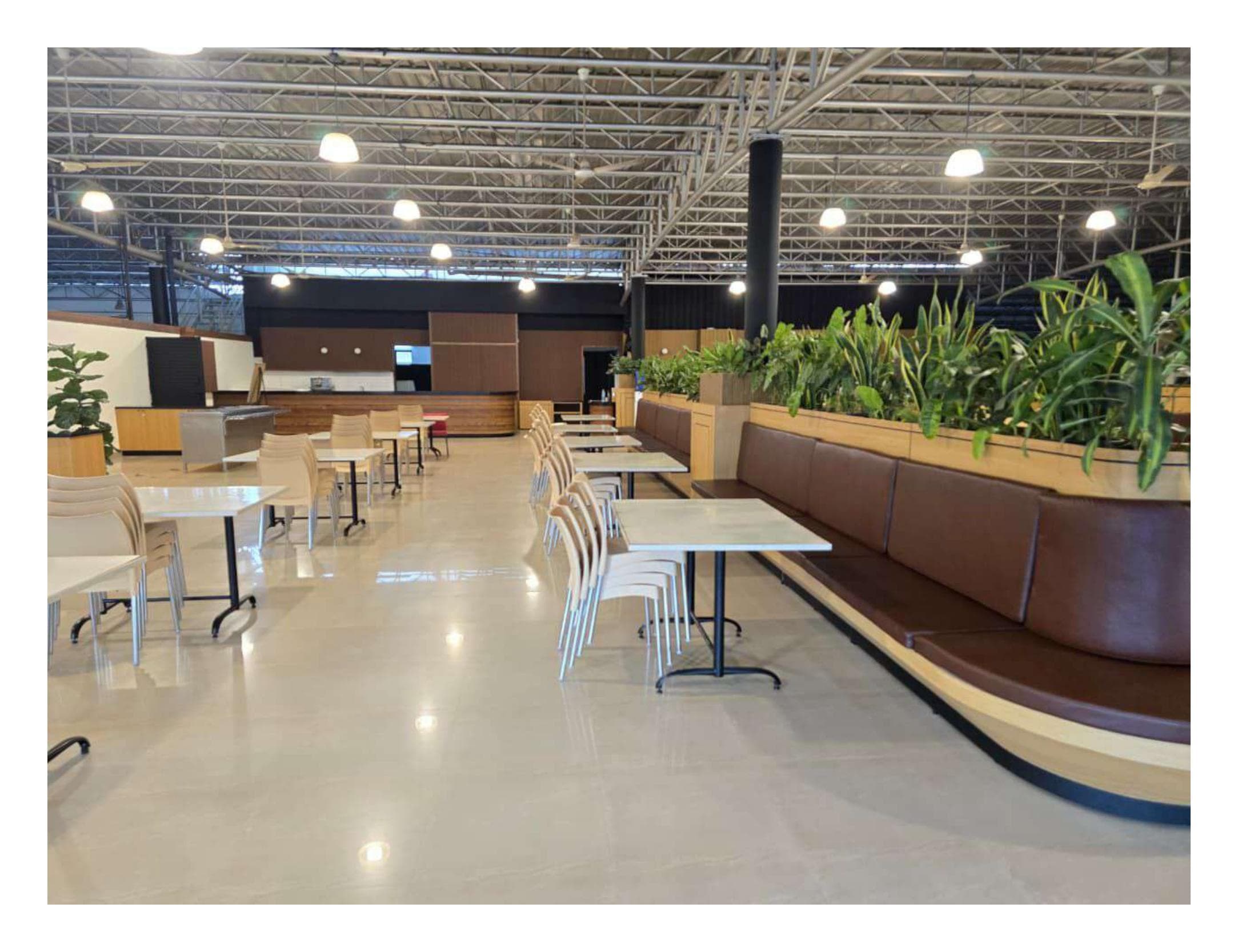 Tally Solutions — photo 11