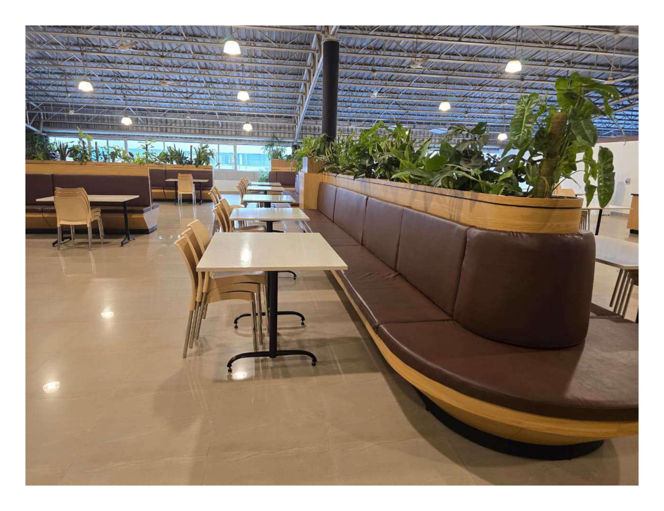 Tally Solutions — photo 13