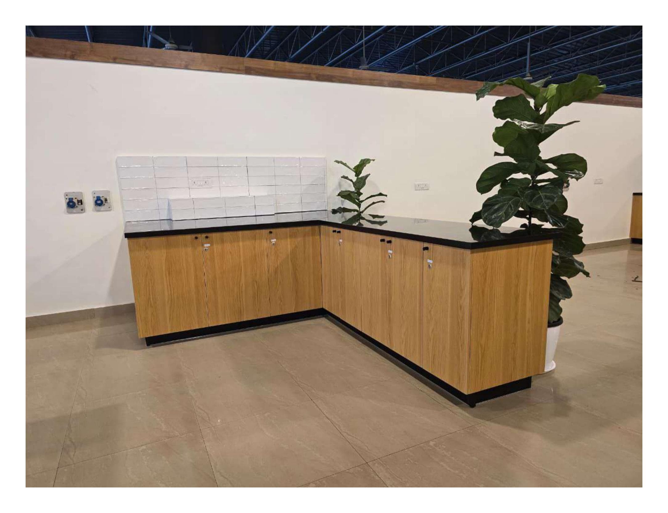 Tally Solutions — photo 15